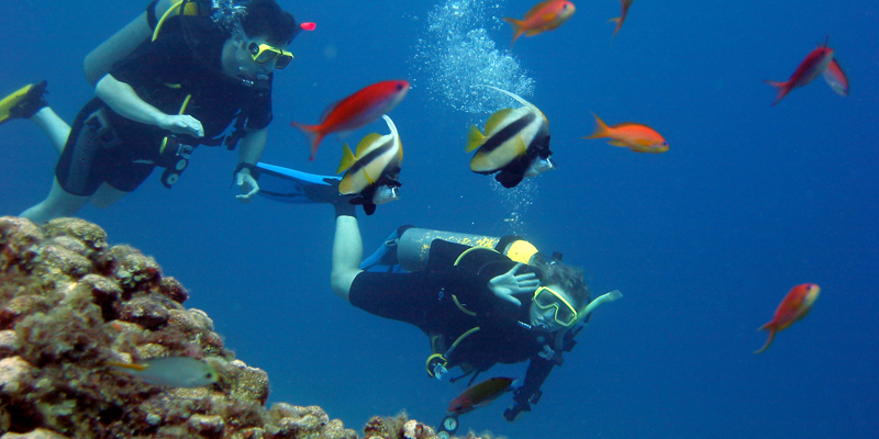 diving in Greece