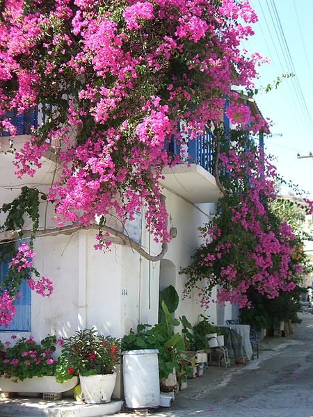 Street in Mochlos village, Siteia region, Crete