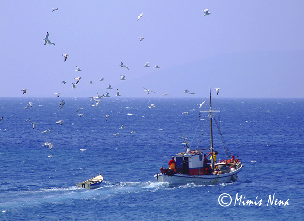 Fishing boat, Koufonisia, Cyclades, Greece