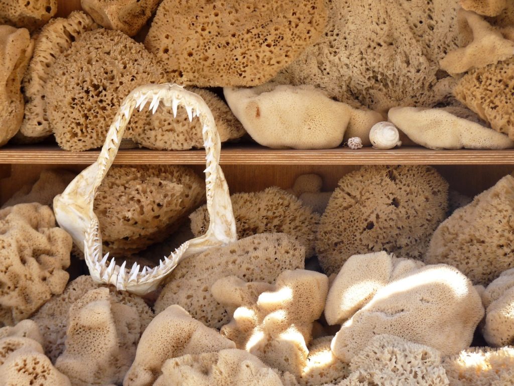 Kalymnos, Dodecanese, Greece - Sponges and sharkteeth