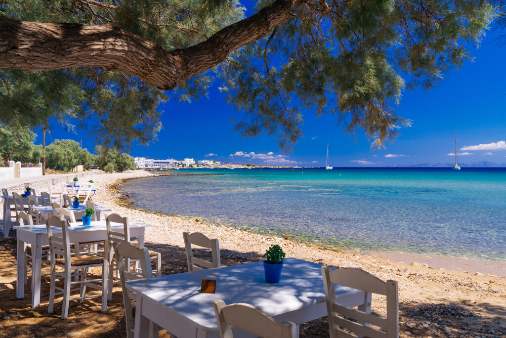 Travel to Paros island, Greece, great little tavern in the shades of olive trees