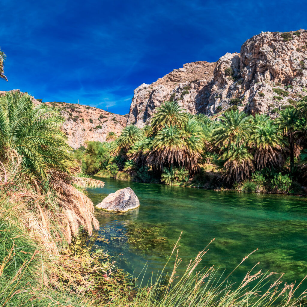 Palm forest on Preveli beach, Crete, Greece, Europe. Crete is the largest and most populous of the Greek islands.