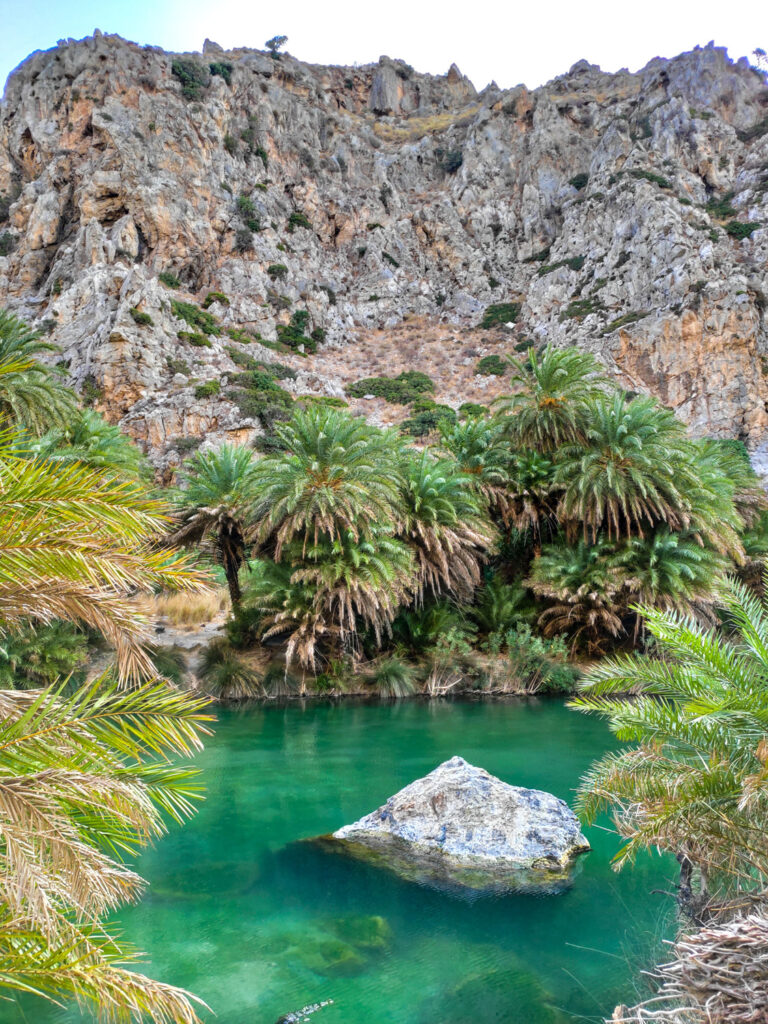 The lagoon with Palm trees at Preveli beach at the exit of Kourtaliotiko gorge in southern Crete, Greece