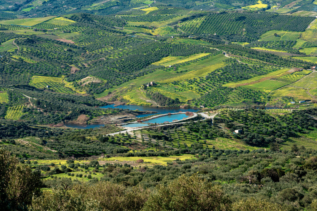 Unique panoramic aerial view of Archanes rural region landscape. Green meadows, olive tree groves, and vineyards, in spring. Heraklion, Crete, Greece